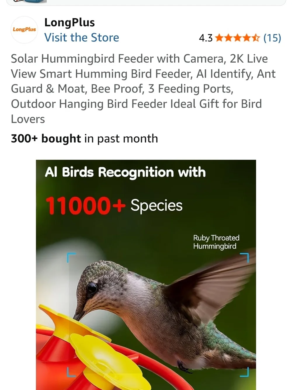 Red Solar Hummingbird Feeder with Camera
